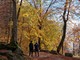 “Camminanatura 2024” a ottobre un’escursione fra i colori della Burcina. “Camminanatura 2024” a ottobre un’escursione fra i colori della Burcina.