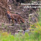 Giornata Mondiale della Fotografia: le buone pratiche per fotografare la natura Giornata Mondiale della Fotografia: le buone pratiche per fotografare la natura