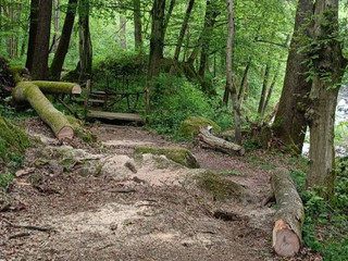 Gorgomoro, sentiero di nuovo accessibile dopo l’intervento dei volontari AIB Biella Orso FOTO AIB Biella Orso