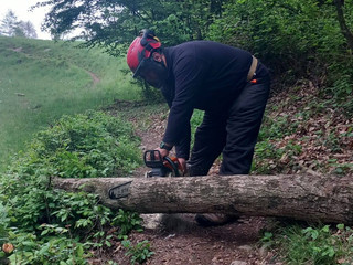 Gorgomoro, sentiero di nuovo accessibile dopo l’intervento dei volontari AIB Biella Orso FOTO AIB Biella Orso