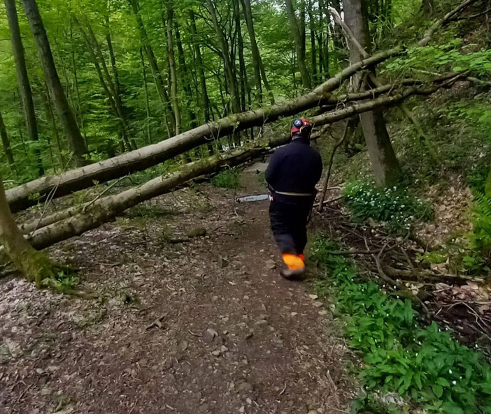 Gorgomoro, sentiero di nuovo accessibile dopo l’intervento dei volontari AIB Biella Orso FOTO AIB Biella Orso