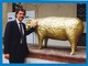 Biella, i 50 montoni d'oro della mostra "Sul filo della lana" messi all'asta per beneficenza. Nella foto di Roberto Marchisotti Massimo Giletti con un montone d'oro al Museo del Territorio Biella, i 50 montoni d'oro della mostra "Sul filo della lana" messi all'asta per beneficenza. Nella foto di Roberto Marchisotti Massimo Giletti con un montone d'oro al Museo del Territorio