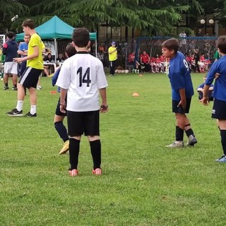 varesano torneo varesano torneo
