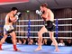 Impresa titanica per il figther biellese Alberto Griso, vince ai punti a Lucerna Impresa titanica per il figther biellese Alberto Griso, vince ai punti a Lucerna