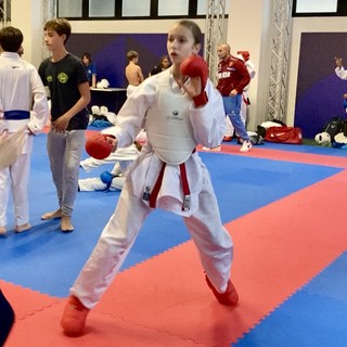 karate biella karate biella