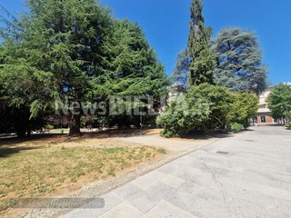 Biella, Lega: "Più controlli ai Giardini Zumaglini con la vigilanza rafforzata" Biella, Lega: "Più controlli ai Giardini Zumaglini con la vigilanza rafforzata"