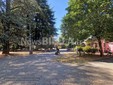 Biella, Lega: "Più controlli ai Giardini Zumaglini con la vigilanza rafforzata" Biella, Lega: "Più controlli ai Giardini Zumaglini con la vigilanza rafforzata"