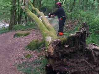 Gorgomoro, sentiero di nuovo accessibile dopo l’intervento dei volontari AIB Biella Orso FOTO AIB Biella Orso