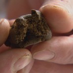 Controlli nella notte, un 33enne rifiuta il test antidroga: trovato con hashish Controlli nella notte, un 33enne rifiuta il test antidroga: trovato con hashish