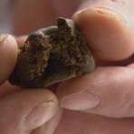 Biella, guai per tre giovani trovati con hashish Biella, guai per tre giovani trovati con hashish