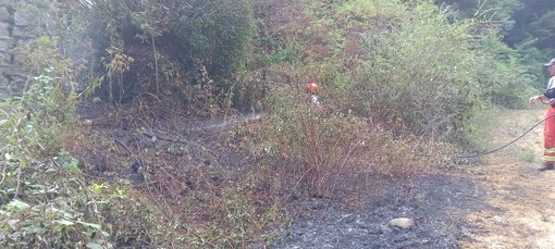 A fuoco un bosco, scatta l’allarme a Veglio FOTO