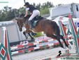 Equitazione: tre amazzoni biellesi alle finali nazionali di Cattolica, Alice Ferri in azione Equitazione: tre amazzoni biellesi alle finali nazionali di Cattolica, Alice Ferri in azione