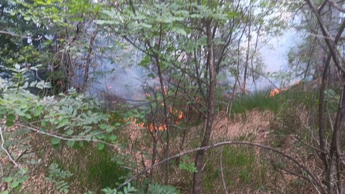 Spento in serata l’incendio boschivo tra i comuni di Curino e Sostegno Spento in serata l’incendio boschivo tra i comuni di Curino e Sostegno