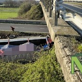Camion esce fuori strada in Super a causa di un cinghiale