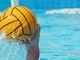 Pallanuoto Femminile Biella: Un’onorevole Dynamic Biella cade con la NC Milano