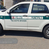 Tamponamento a Occhieppo Inferiore tra due mezzi, paura per il cane a bordo (foto di repertorio)