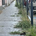 Biella, incuria e inciviltà sotto gli occhi di tutti Biella, incuria e inciviltà sotto gli occhi di tutti