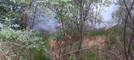 Spento in serata l’incendio boschivo tra i comuni di Curino e Sostegno