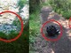 Gesti di inciviltà a Miagliano: panchine gettate nel torrente e rifiuti abbandonati al ponte vecchio (foto dalla pagina Facebook di Miagliano E-News) Gesti di inciviltà a Miagliano: panchine gettate nel torrente e rifiuti abbandonati al ponte vecchio (foto dalla pagina Facebook di Miagliano E-News)