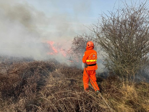 Incendio in Baraggia tra Benna e Massazza, sul posto Vigili del Fuoco e AIB Incendio in Baraggia tra Benna e Massazza, sul posto Vigili del Fuoco e AIB