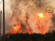 incendi boschivi regione