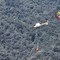 Nuovo fronte di fuoco in località Alpe La Res. Proseguono le operazioni Nuovo fronte di fuoco in località Alpe La Res. Proseguono le operazioni