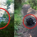 Gesti di inciviltà a Miagliano: panchine gettate nel torrente e rifiuti abbandonati al ponte vecchio (foto dalla pagina Facebook di Miagliano E-News) Gesti di inciviltà a Miagliano: panchine gettate nel torrente e rifiuti abbandonati al ponte vecchio (foto dalla pagina Facebook di Miagliano E-News)