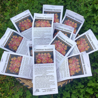 Nell’immagine, sacchetti di grano per fare “sos nenneres”