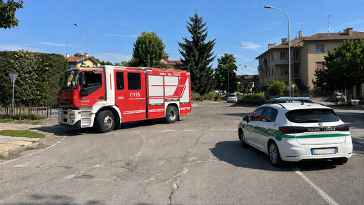 Auto contro un palo a Occhieppo Inferiore, accertamenti in corso - Foto di repertorio