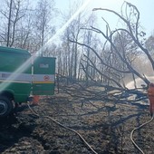 Incendio nella Baraggia di Candelo: fiamme nell'area militare Incendio nella Baraggia di Candelo: fiamme nell'area militare