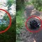 Gesti di inciviltà a Miagliano: panchine gettate nel torrente e rifiuti abbandonati al ponte vecchio (foto dalla pagina Facebook di Miagliano E-News) Gesti di inciviltà a Miagliano: panchine gettate nel torrente e rifiuti abbandonati al ponte vecchio (foto dalla pagina Facebook di Miagliano E-News)