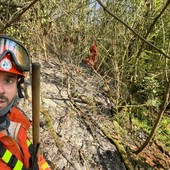 Domato l’incendio tra Camburzano e Mongrando, in azione anche l’elicottero