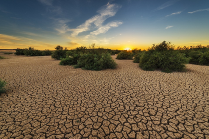 Caldo estremo e siccità mettono a dura prova l’agricoltura europea