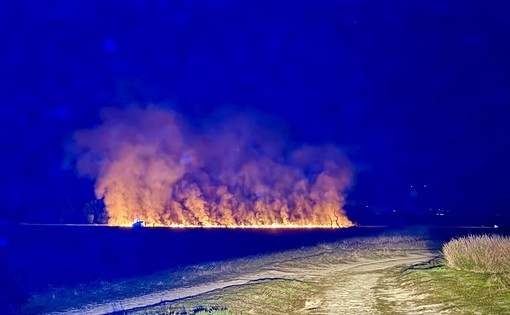 Brucia nuovamente la Baraggia a Candelo