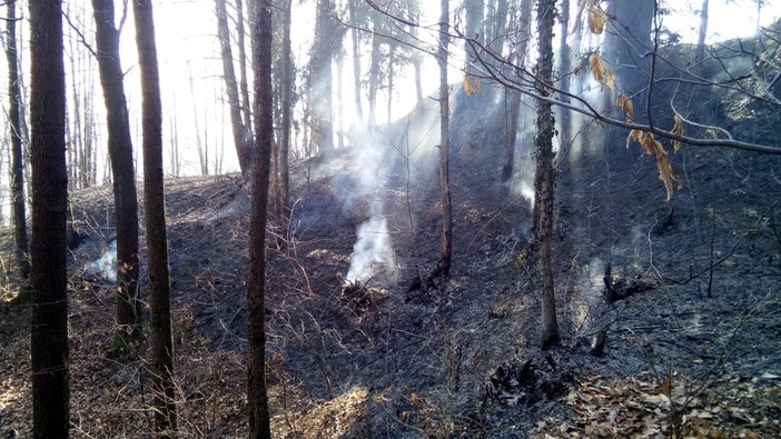 Piemonte: è ancora stato di emergenza per gli incendi boschivi