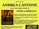 Brusnengo ospita Andrea Cantone: incontro con l’autore di "Africa ribelle" Brusnengo ospita Andrea Cantone: incontro con l’autore di "Africa ribelle"