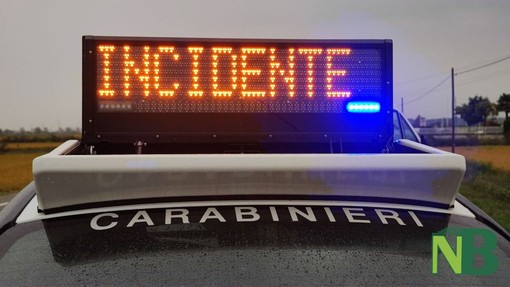 Spunta animale sulla strada, incidente a Gaglianico (foto di repertorio)