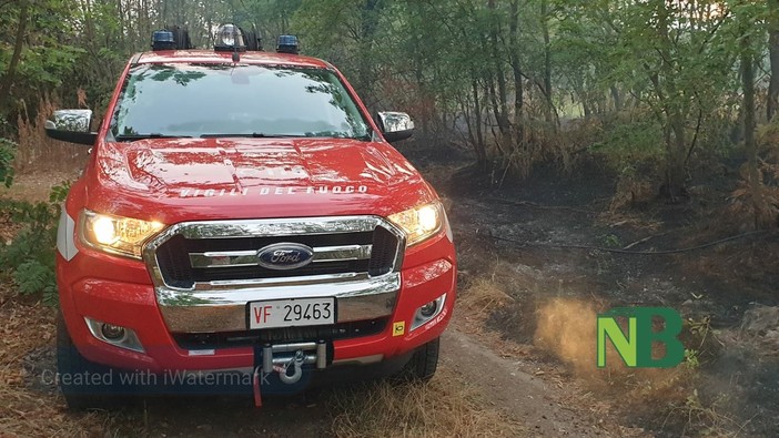 Vigili del Fuoco a Pollone per l’incendio di un sottobosco (foto di repertorio) Vigili del Fuoco a Pollone per l’incendio di un sottobosco (foto di repertorio)