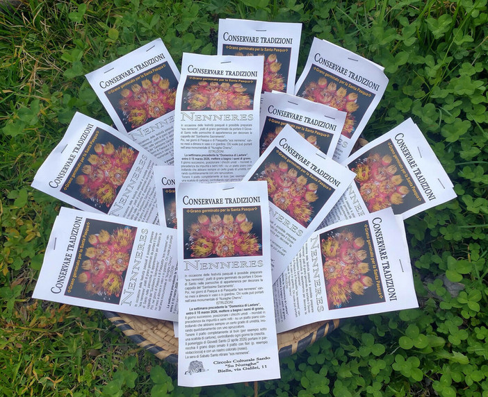 Nell’immagine, sacchetti di grano per fare “sos nenneres”