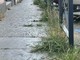 Biella, incuria e inciviltà sotto gli occhi di tutti Biella, incuria e inciviltà sotto gli occhi di tutti