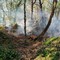 Fiamme a Pollone fuori dal Parco della Burcina, intervento di AIB e Vigili del Fuoco VIDEO
