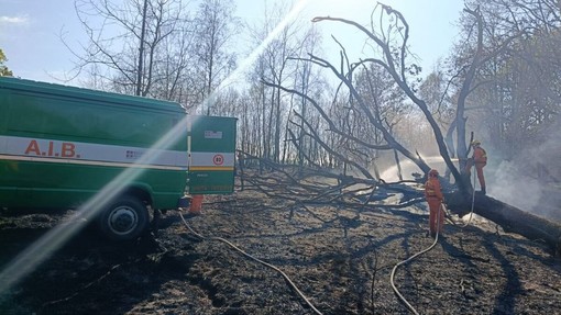 Incendio nella Baraggia di Candelo: fiamme nell'area militare