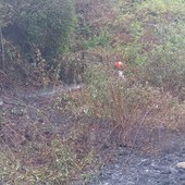 A fuoco un bosco, scatta l’allarme a Veglio FOTO A fuoco un bosco, scatta l’allarme a Veglio FOTO