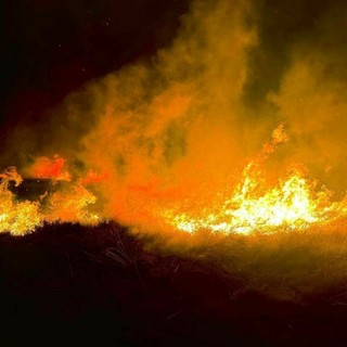 Regione Piemonte, in vigore lo stato di massima pericolosità per incendi boschivi: ecco tutti i divieti da rispettare (foto di repertorio)