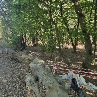 Incivili tornano a colpire in Baraggia: ritrovati resti di calcinacci e mattoni