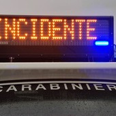 Spunta animale sulla strada, incidente a Gaglianico (foto di repertorio) Spunta animale sulla strada, incidente a Gaglianico (foto di repertorio)