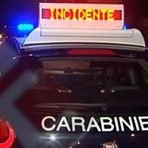 Spunta sulla strada un capriolo, incidente a Ponderano (foto di repertorio) Spunta sulla strada un capriolo, incidente a Ponderano (foto di repertorio)