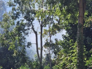 Biella, incendio all'Orto del Piazzo: Vigili del Fuoco al lavoro Biella, incendio all'Orto del Piazzo: Vigili del Fuoco al lavoro