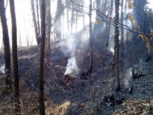 Piemonte: è ancora stato di emergenza per gli incendi boschivi