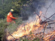 40 milioni di euro alle 72 aree SNAI per contrastare gli incendi boschivi - Foto archivio newsbiella.it